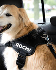 Adjustable Dog Safety Seat Belt