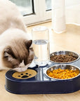 3in1 Pet Food Bowl with Automatic Drinking Feeder